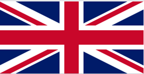 Illustration for the “Flag(s)” section of the Ireland guide