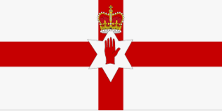 Illustration for the “Flag(s)” section of the Ireland guide